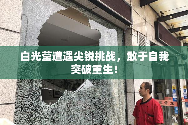 白光莹遭遇尖锐挑战，敢于自我突破重生！