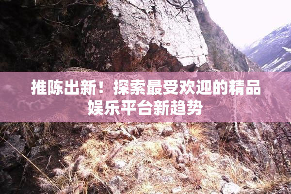 推陈出新！探索最受欢迎的精品娱乐平台新趋势