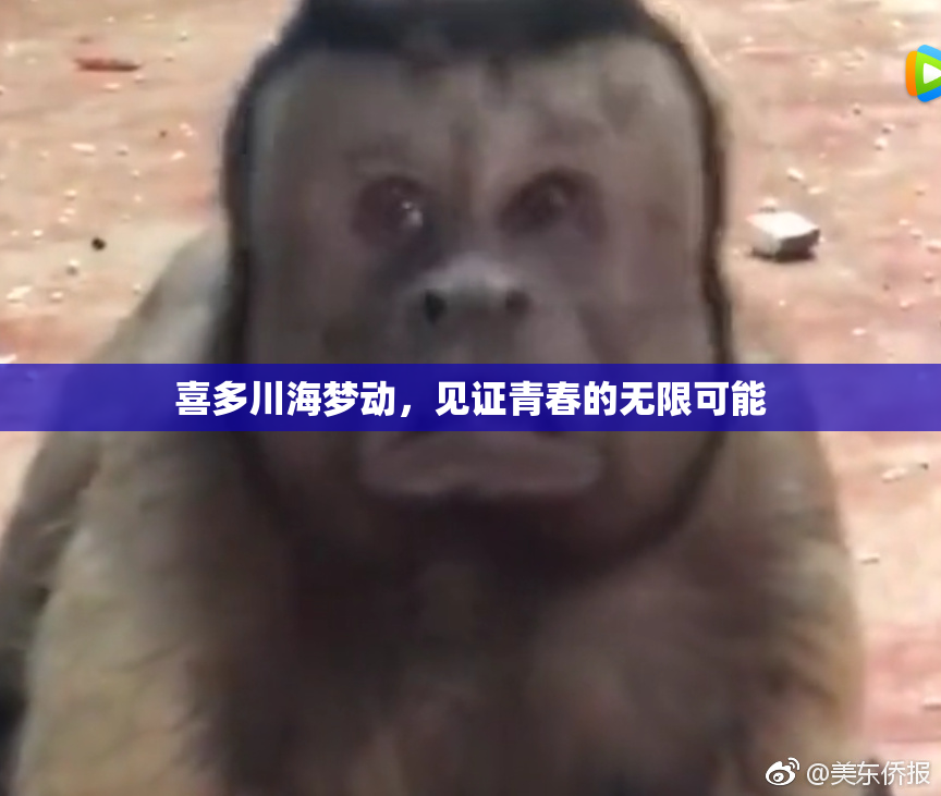 喜多川海梦动，见证青春的无限可能