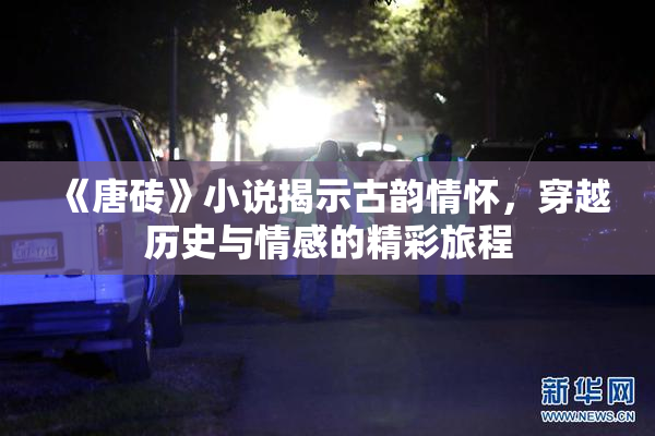 《唐砖》小说揭示古韵情怀，穿越历史与情感的精彩旅程