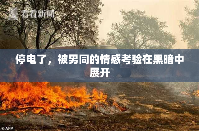 停电了，被男同的情感考验在黑暗中展开