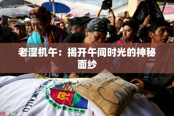 老湿机午：揭开午间时光的神秘面纱