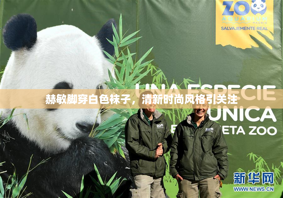 赫敏脚穿白色袜子，清新时尚风格引关注