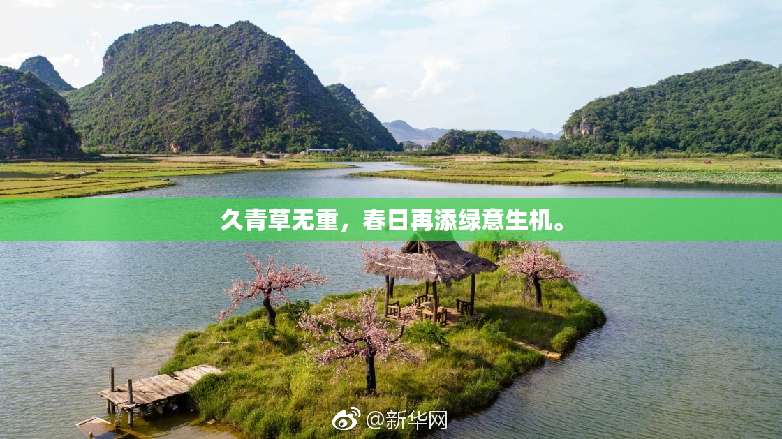久青草无重，春日再添绿意生机。