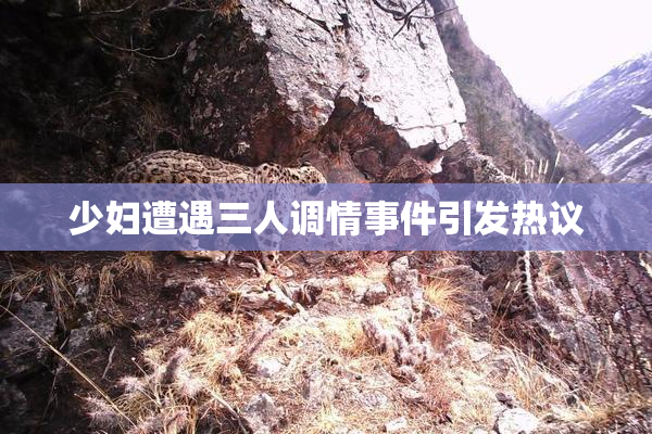 少妇遭遇三人调情事件引发热议
