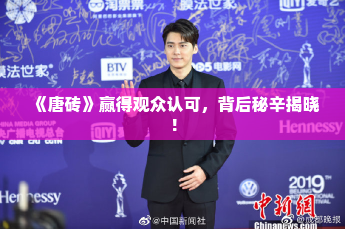 《唐砖》赢得观众认可，背后秘辛揭晓！