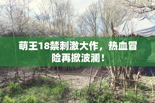 萌王18禁刺激大作，热血冒险再掀波澜！