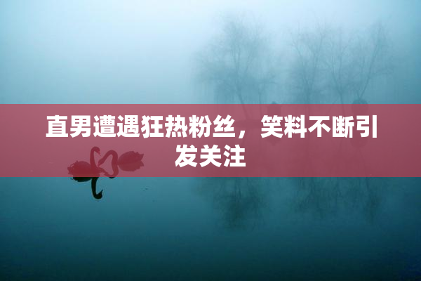 直男遭遇狂热粉丝，笑料不断引发关注