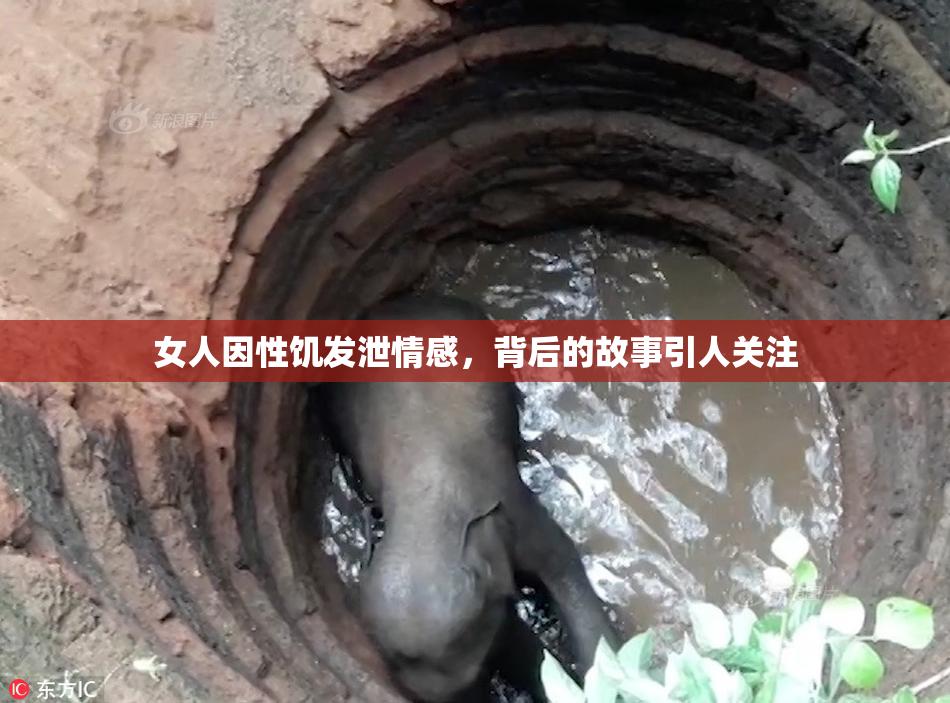 女人因性饥发泄情感，背后的故事引人关注
