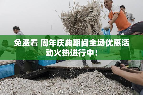 免费看 周年庆典期间全场优惠活动火热进行中！