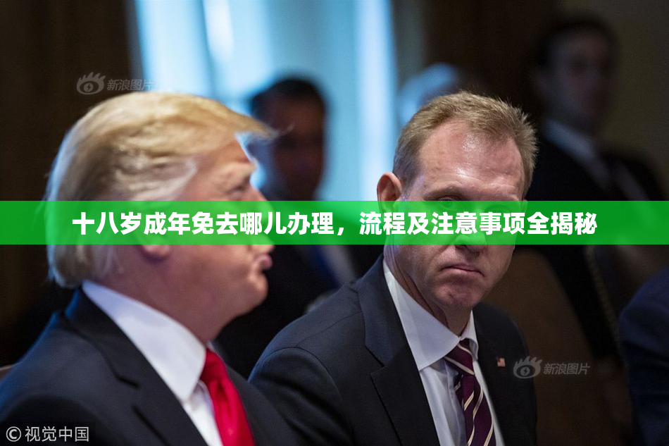 十八岁成年免去哪儿办理，流程及注意事项全揭秘