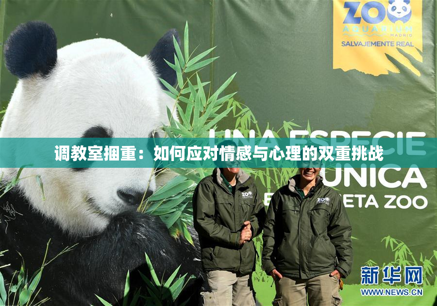 调教室捆重：如何应对情感与心理的双重挑战