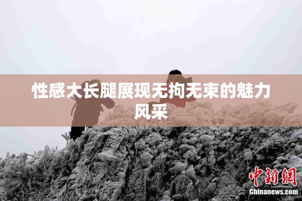 性感大长腿展现无拘无束的魅力风采