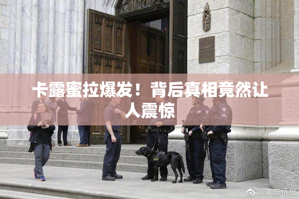 卡露蜜拉爆发！背后真相竟然让人震惊