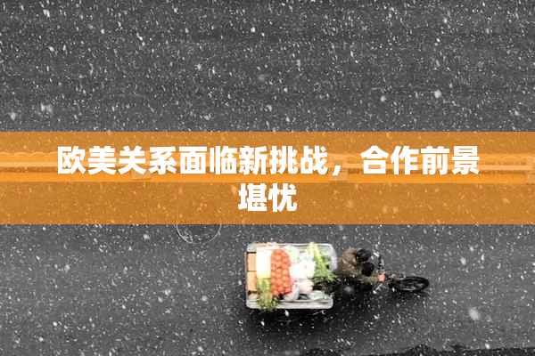 欧美关系面临新挑战，合作前景堪忧