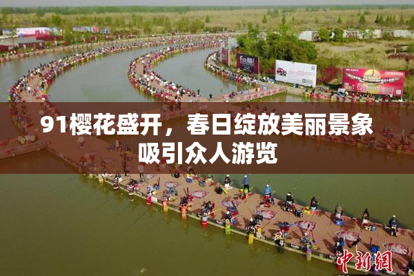 91樱花盛开，春日绽放美丽景象吸引众人游览