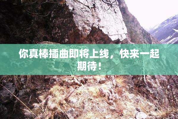 你真棒插曲即将上线，快来一起期待！