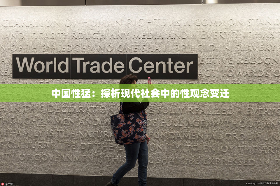 中国性猛：探析现代社会中的性观念变迁