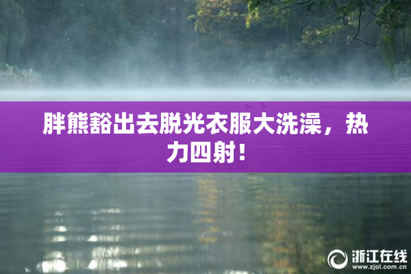 胖熊豁出去脱光衣服大洗澡，热力四射！