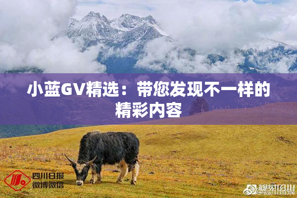 小蓝GV精选：带您发现不一样的精彩内容