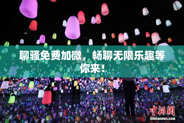聊骚免费加微，畅聊无限乐趣等你来！