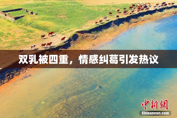 双乳被四重，情感纠葛引发热议
