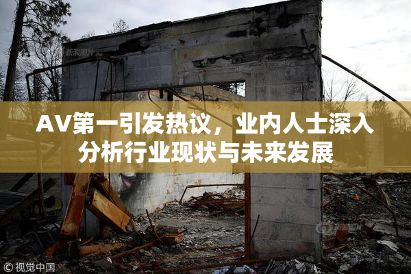 AV第一引发热议，业内人士深入分析行业现状与未来发展