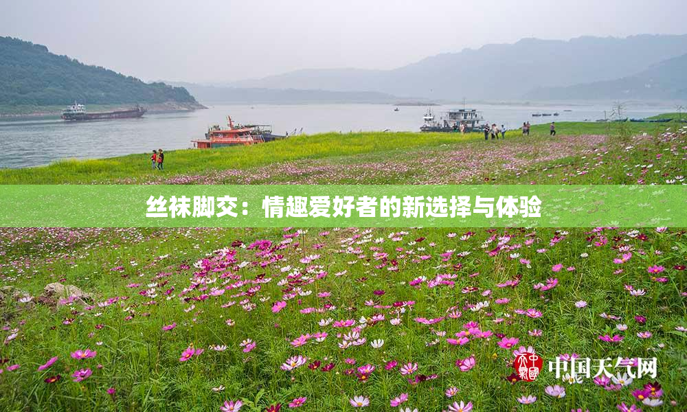 丝袜脚交：情趣爱好者的新选择与体验
