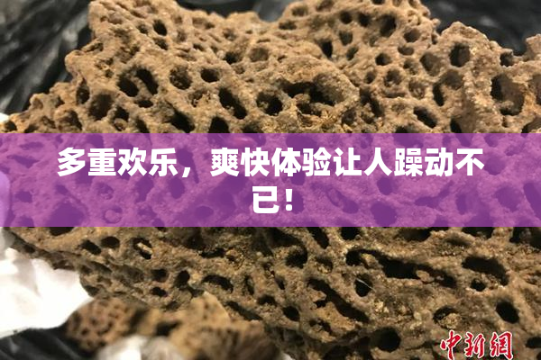 多重欢乐，爽快体验让人躁动不已！