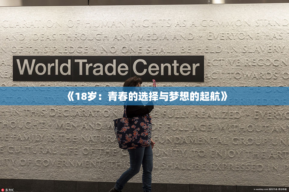 《18岁：青春的选择与梦想的起航》