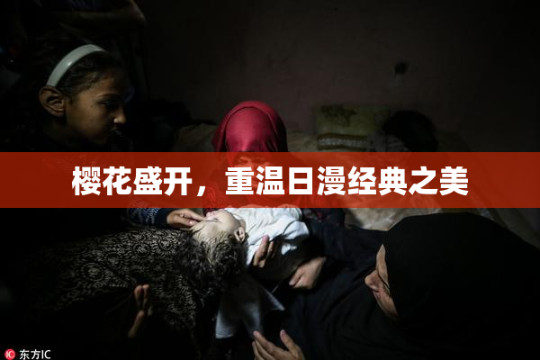 樱花盛开，重温日漫经典之美