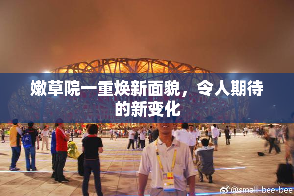 嫩草院一重焕新面貌，令人期待的新变化