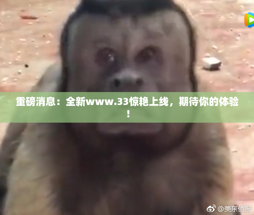 重磅消息：全新www.33惊艳上线，期待你的体验！