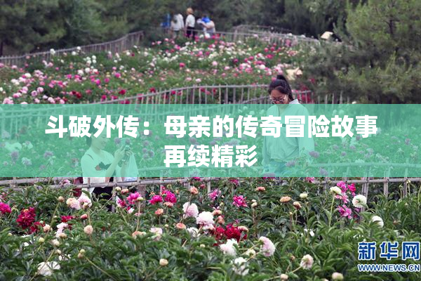 斗破外传：母亲的传奇冒险故事再续精彩