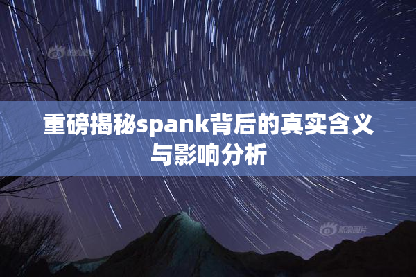 重磅揭秘spank背后的真实含义与影响分析