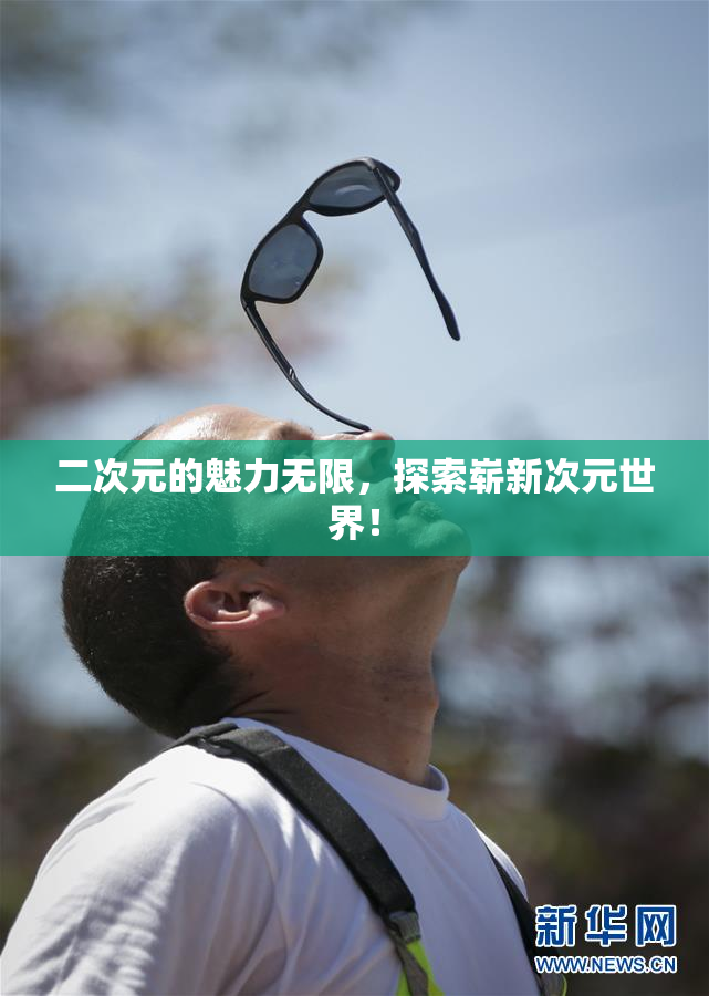 二次元的魅力无限，探索崭新次元世界！