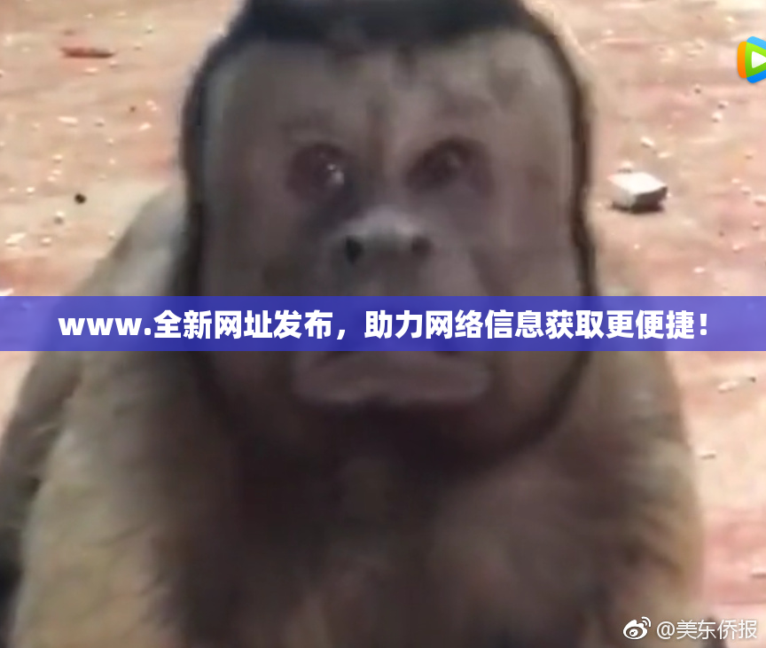 www.全新网址发布，助力网络信息获取更便捷！