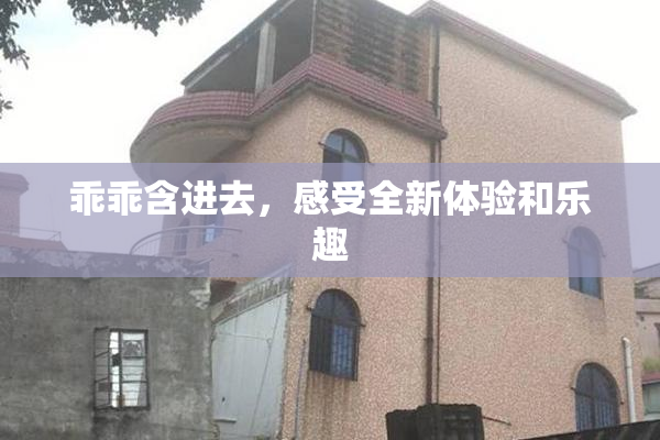 乖乖含进去，感受全新体验和乐趣