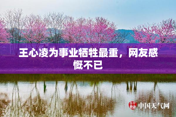王心凌为事业牺牲最重，网友感慨不已