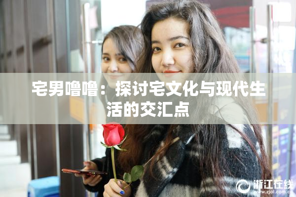 宅男噜噜：探讨宅文化与现代生活的交汇点