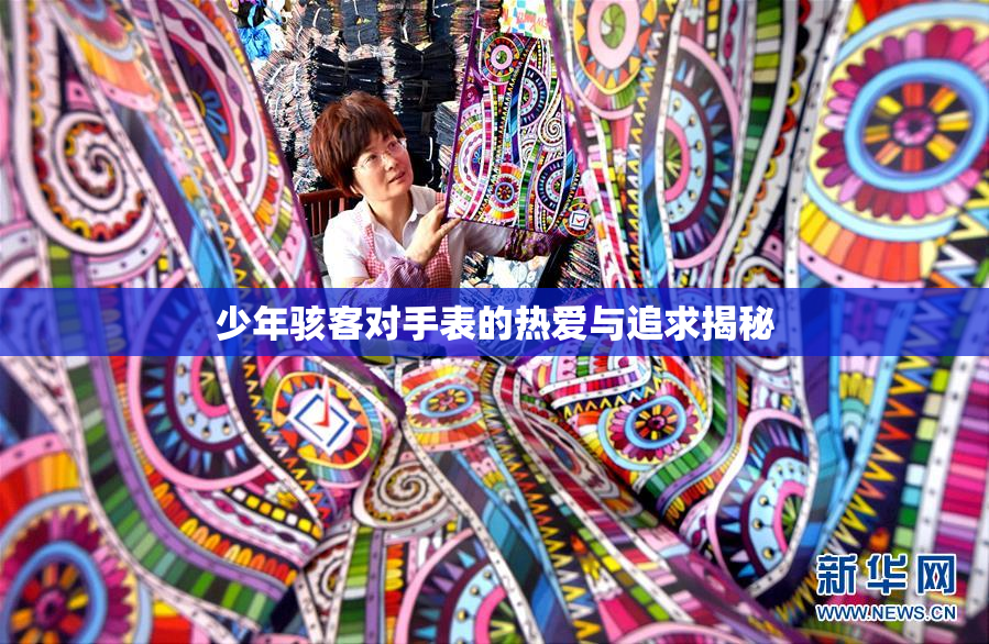 少年骇客对手表的热爱与追求揭秘