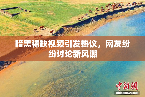 暗黑稀缺视频引发热议，网友纷纷讨论新风潮
