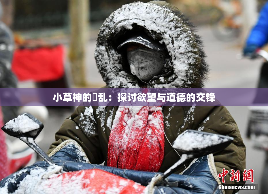 小草神的婬乱：探讨欲望与道德的交锋