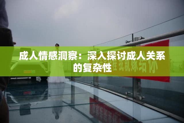 成人情感洞察：深入探讨成人关系的复杂性