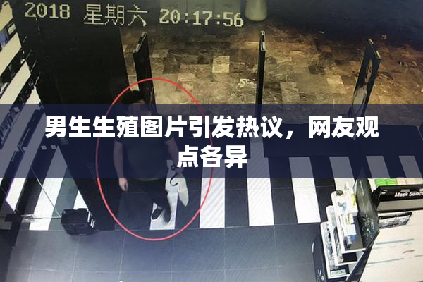 男生生殖图片引发热议，网友观点各异