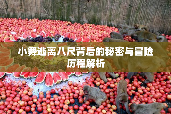 小舞逃离八尺背后的秘密与冒险历程解析
