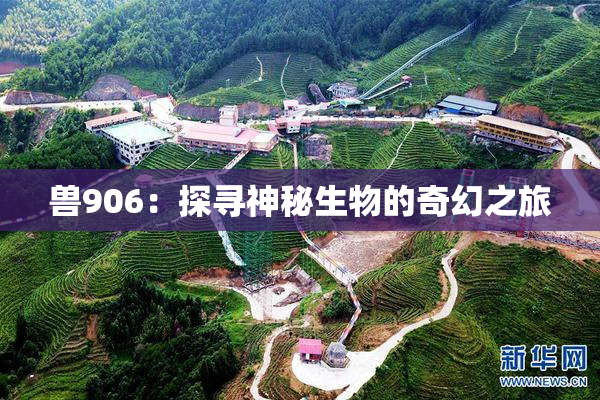 兽906：探寻神秘生物的奇幻之旅