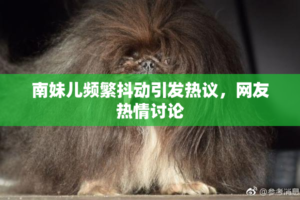 南妹儿频繁抖动引发热议，网友热情讨论