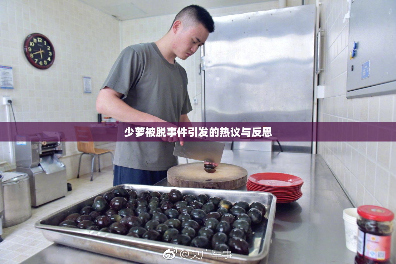 少萝被脱事件引发的热议与反思
