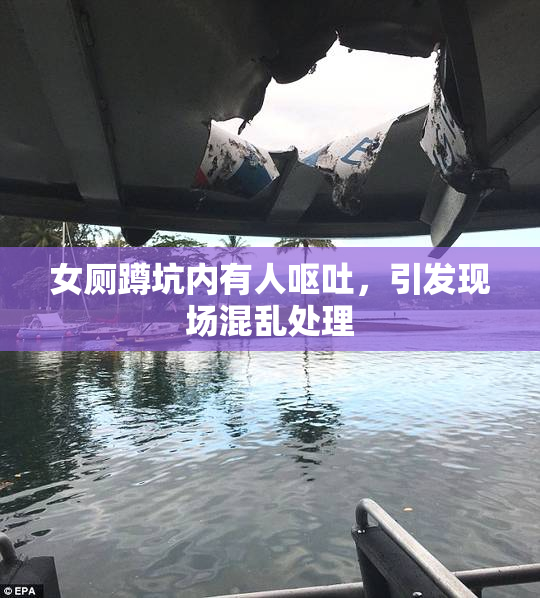 女厕蹲坑内有人呕吐，引发现场混乱处理